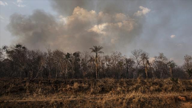 Amazon’da 2022’de günde 3 bin futbol sahası büyüklüğünde orman yok oldu