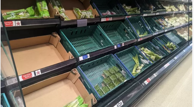 İngiltere’de iki süpermarket zinciri, tedarik sorunları nedeniyle bazı meyve ve sebzelerin satışını sınırlandırdı