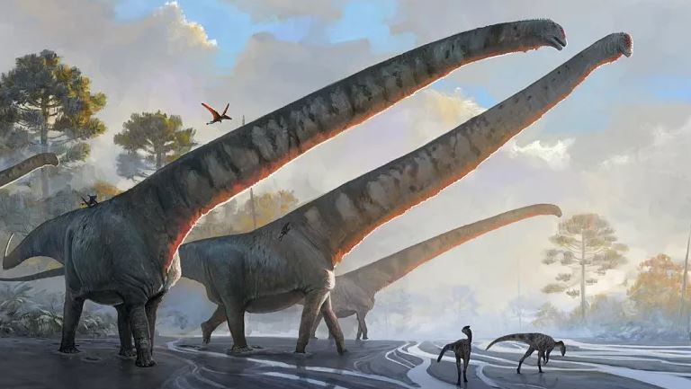 Çin’de boyun uzunluğu 15 metreye varan dinozor keşfedildi