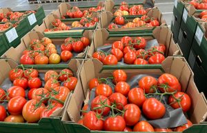 Dünyanın en kalabalık ülkesinde domates krizi