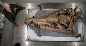 İngiltere’de 150 milyon yıl öncesine ait ‘deniz canlısının’ kafatası bulundu
