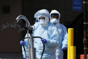 ABD’de H5N1 paniği